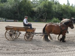 IMG_1183_web